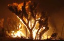 "Cái đẹp bốc lửa" của những trận cháy rừng ở California